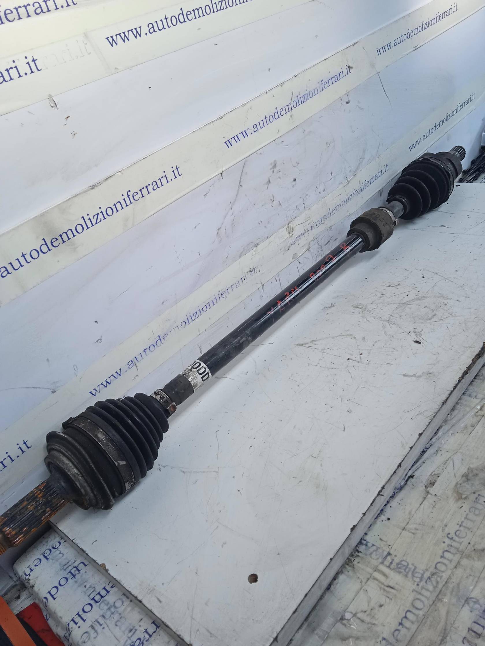 Semialbero ant. compl. dx.